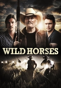 El Caballo Salvaje (2015)