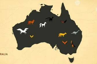 Películas de Fantasía sobre Australia