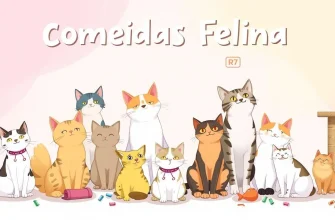Comedias Felinas: 10 Películas Imperdibles