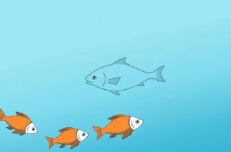 10 Películas de Drama sobre Peces que te Harán Reflexionar