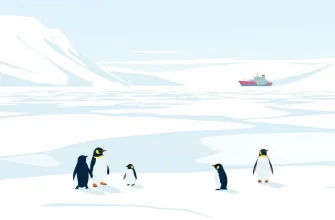 Películas sobre la Antártida: Aventuras en el Hielo