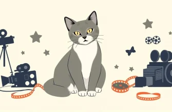 Películas de drama con gatos: una selección conmovedora