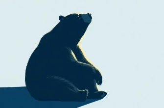 Películas de drama sobre osos: una selección imperdible