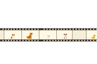 Películas familiares sobre perreras