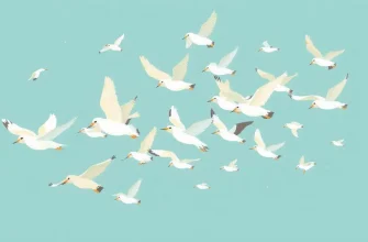 Películas sobre aves: Vuela con nosotros