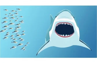 Películas biográficas sobre tiburones