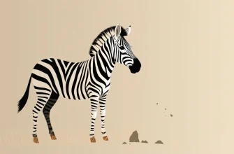 Películas sobre cebras: Una selección única