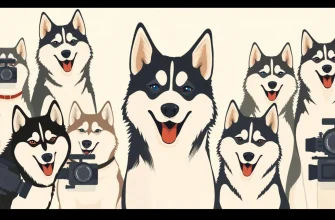 Películas con huskies: 10 joyas caninas
