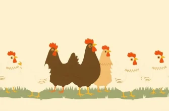 10 Películas Dramáticas sobre Gallinas