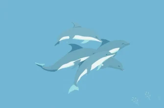 10 Películas Imperdibles sobre Delfines