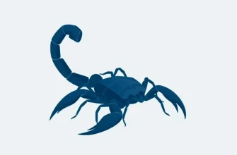 10 Películas de Drama con Escorpiones