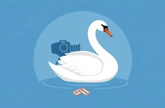 Películas familiares con cisnes