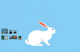 Dramas con Conejos: 10 Películas Imperdibles