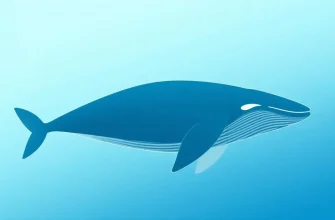 Películas Dramáticas sobre Ballenas