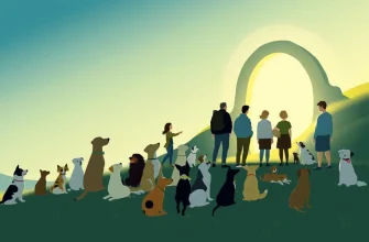 Películas de Fantasía con Perros