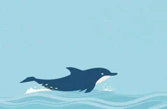 10 Películas Biográficas sobre Delfines