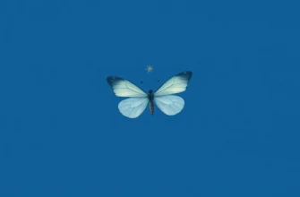 Películas detectivescas con mariposas