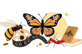 Películas de biografías de insectos