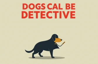 Películas detectivescas con perros: Una selección única